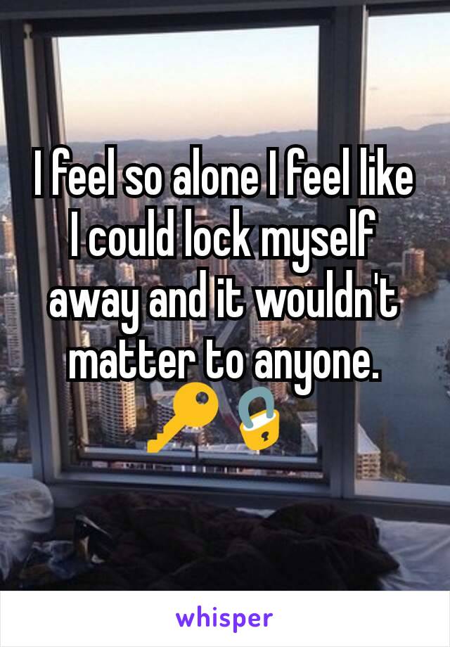 I feel so alone I feel like I could lock myself away and it wouldn't matter to anyone. 🔑🔒 