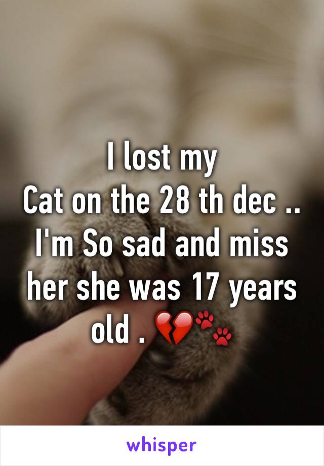 I lost my
Cat on the 28 th dec .. I'm So sad and miss her she was 17 years old . 💔🐾