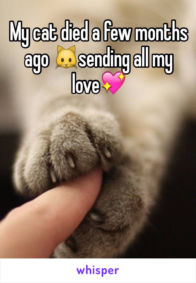 My cat died a few months ago 🐱sending all my love💖