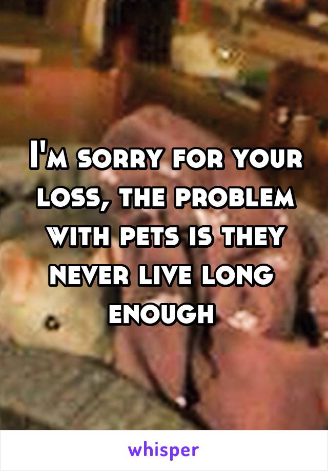 I'm sorry for your loss, the problem with pets is they never live long 
enough 