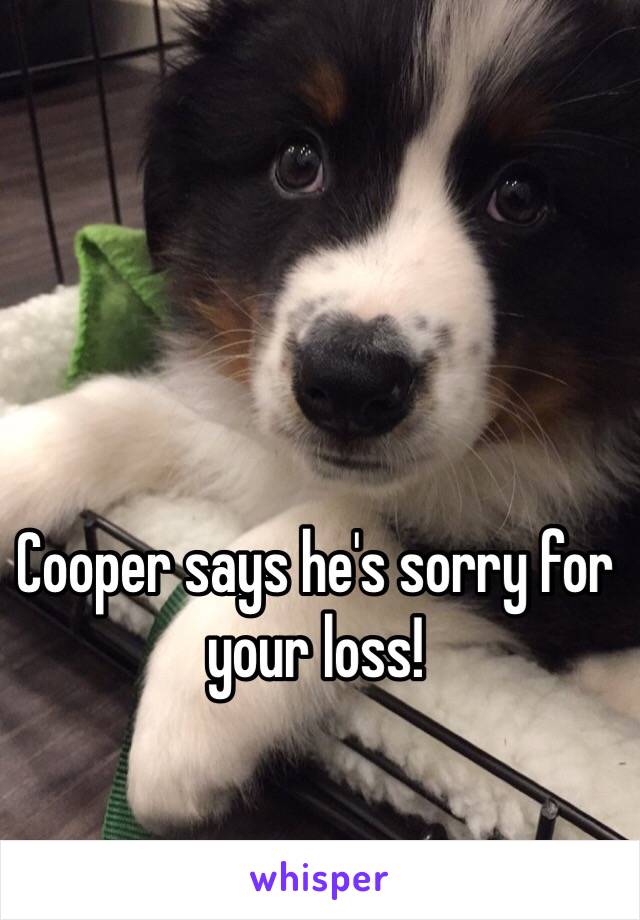 Cooper says he's sorry for your loss!