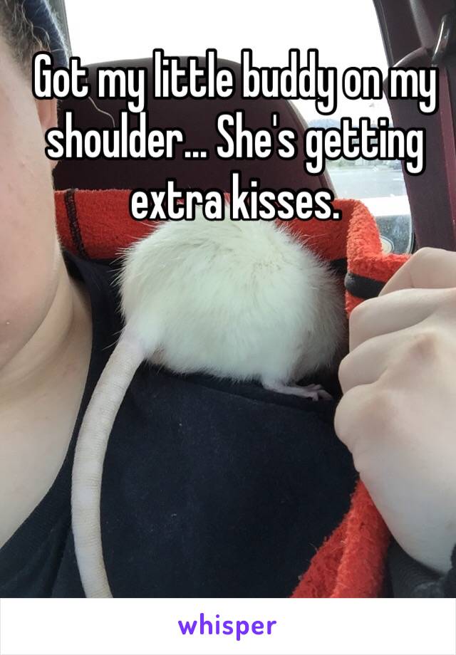 Got my little buddy on my shoulder... She's getting extra kisses. 