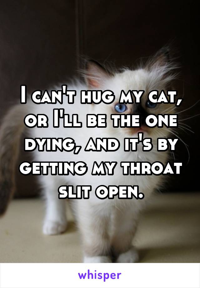 I can't hug my cat, or I'll be the one dying, and it's by getting my throat slit open.