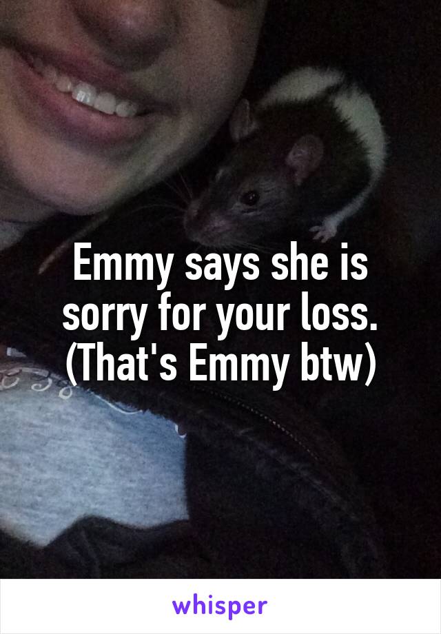 Emmy says she is sorry for your loss. (That's Emmy btw)