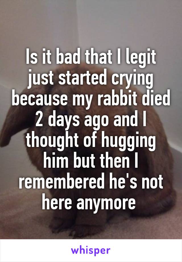 Is it bad that I legit just started crying because my rabbit died 2 days ago and I thought of hugging him but then I remembered he's not here anymore 