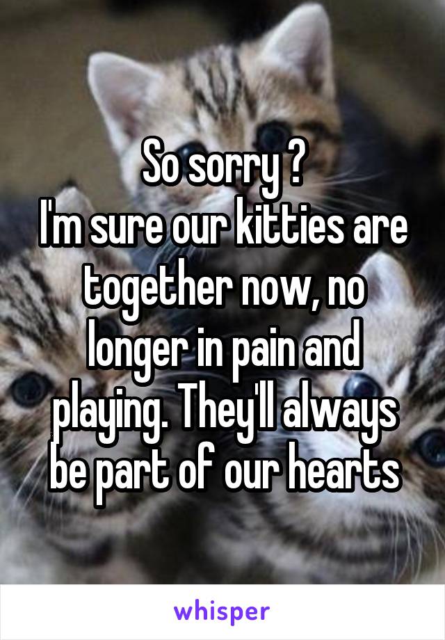 So sorry 😓
I'm sure our kitties are together now, no longer in pain and playing. They'll always be part of our hearts