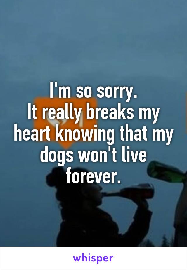 I'm so sorry.
It really breaks my heart knowing that my dogs won't live forever.