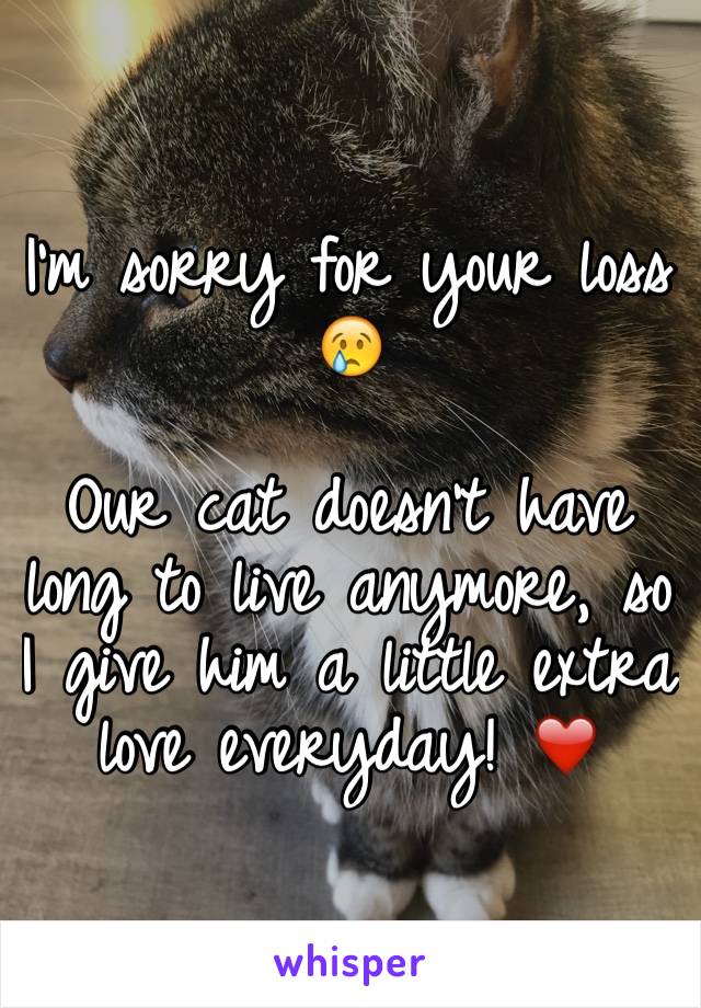 I'm sorry for your loss 😢

Our cat doesn't have long to live anymore, so I give him a little extra love everyday! ❤️