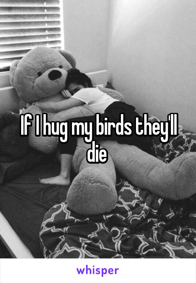 If I hug my birds they'll die 