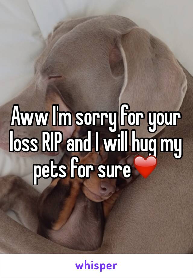 Aww I'm sorry for your loss RIP and I will hug my pets for sure❤️