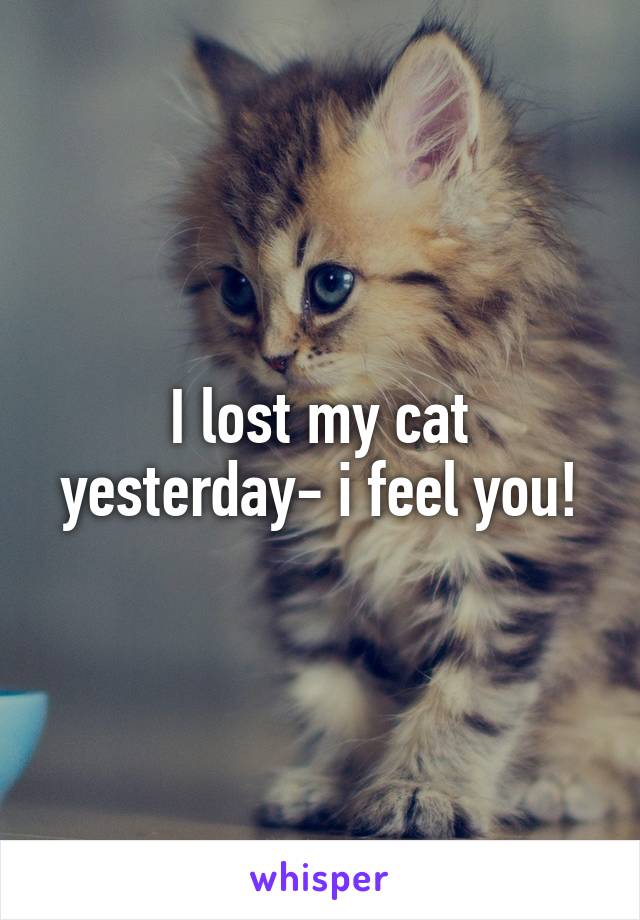 I lost my cat yesterday- i feel you!