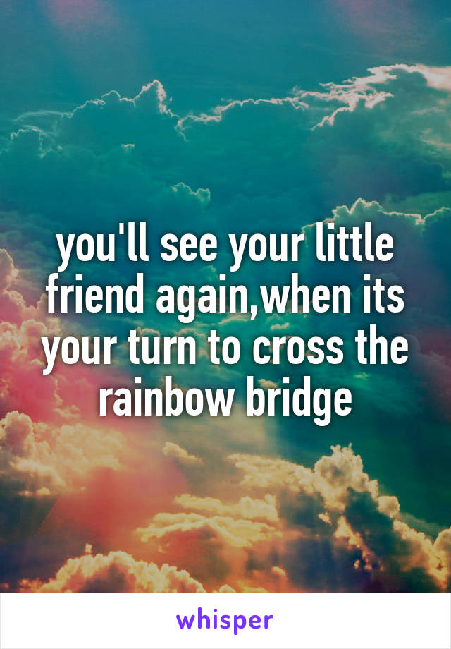 you'll see your little friend again,when its your turn to cross the rainbow bridge