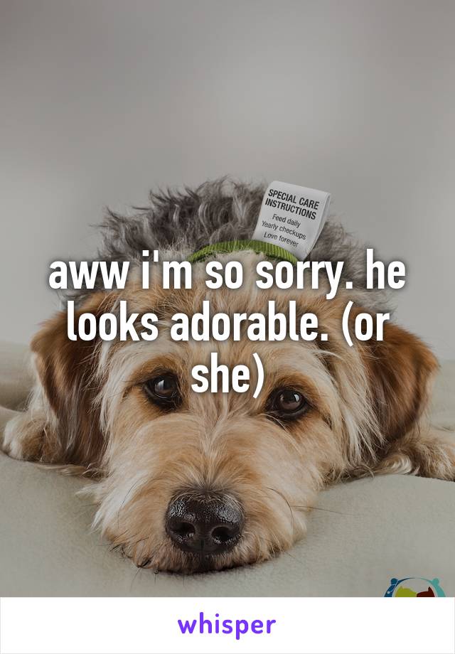 aww i'm so sorry. he looks adorable. (or she)