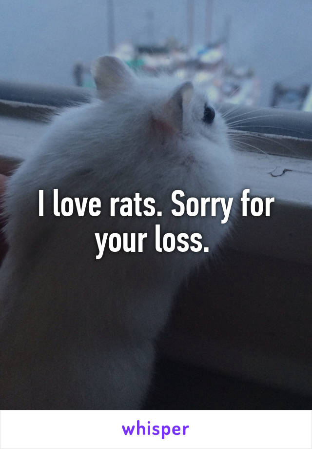 I love rats. Sorry for your loss. 