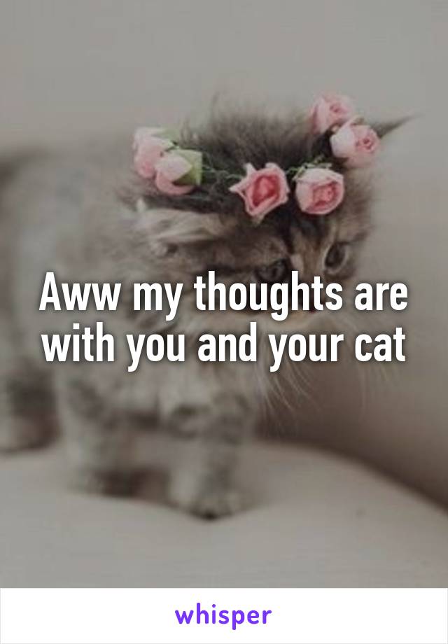 Aww my thoughts are with you and your cat