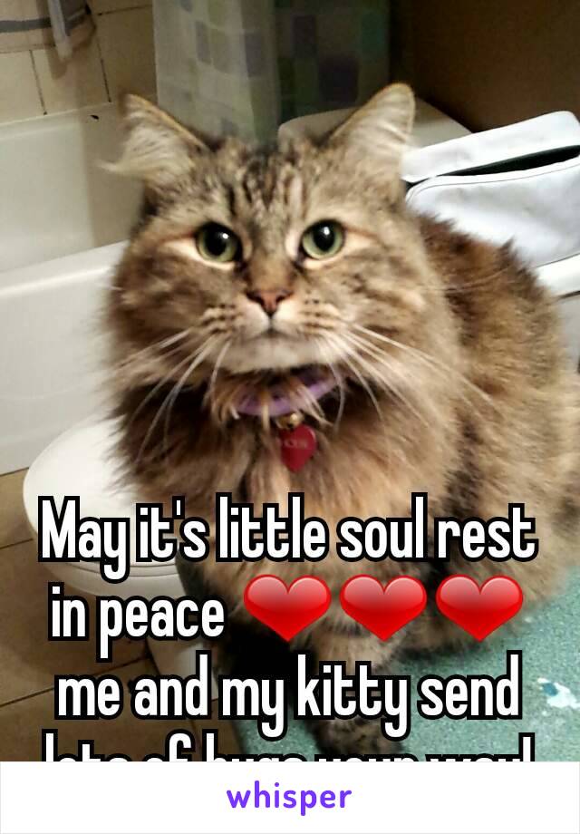 May it's little soul rest in peace ❤❤❤ me and my kitty send lots of hugs your way!