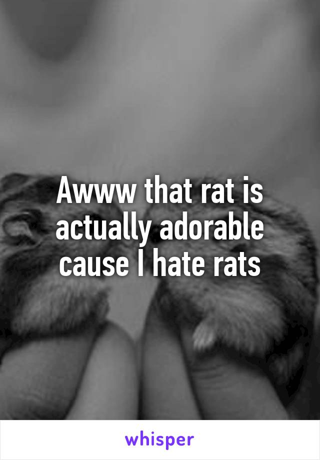 Awww that rat is actually adorable cause I hate rats