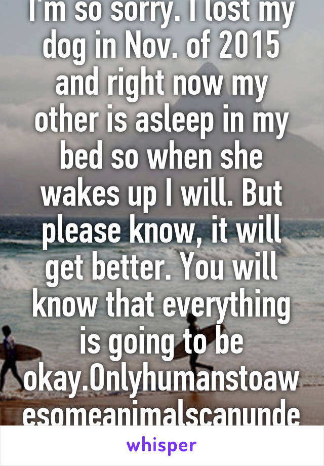 I'm so sorry. I lost my dog in Nov. of 2015 and right now my other is asleep in my bed so when she wakes up I will. But please know, it will get better. You will know that everything is going to be okay.Onlyhumanstoawesomeanimalscanunderstand. 