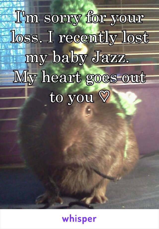 I'm sorry for your loss. I recently lost my baby Jazz. 
My heart goes out to you ♡
