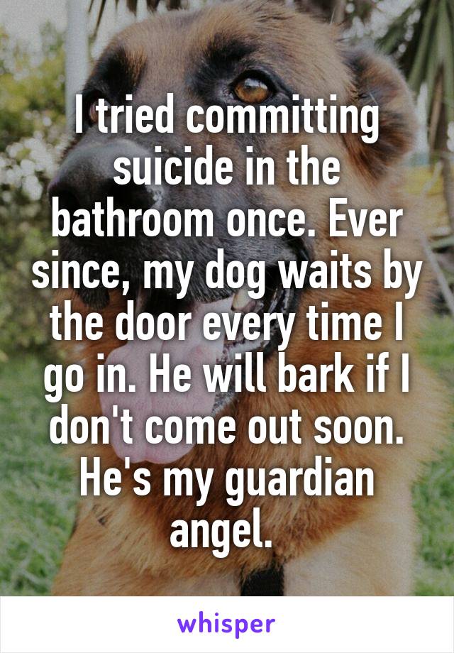 I tried committing suicide in the bathroom once. Ever since, my dog waits by the door every time I go in. He will bark if I don't come out soon. He's my guardian angel. 
