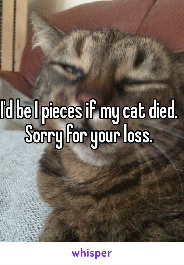 I'd be I pieces if my cat died. Sorry for your loss.