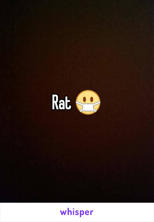 Rat 😷