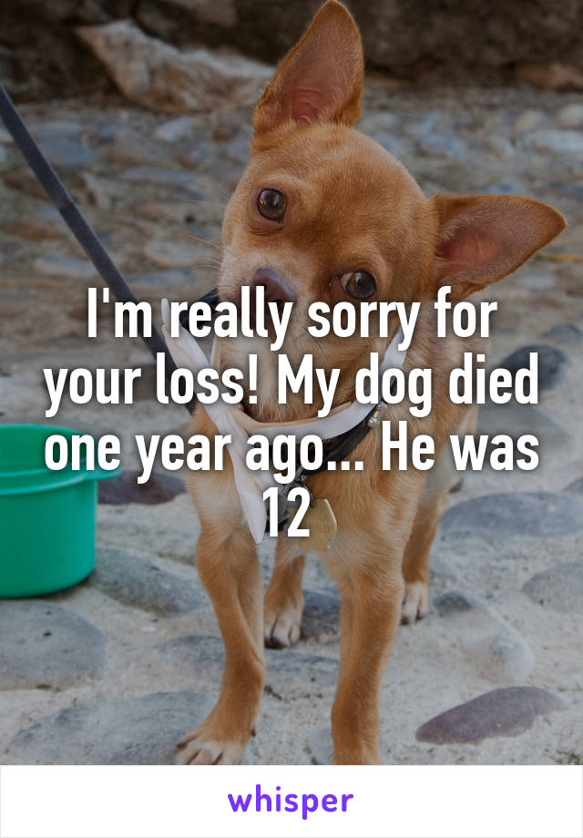 I'm really sorry for your loss! My dog died one year ago... He was 12 