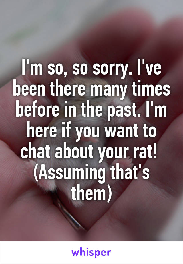 I'm so, so sorry. I've been there many times before in the past. I'm here if you want to chat about your rat!  (Assuming that's them)