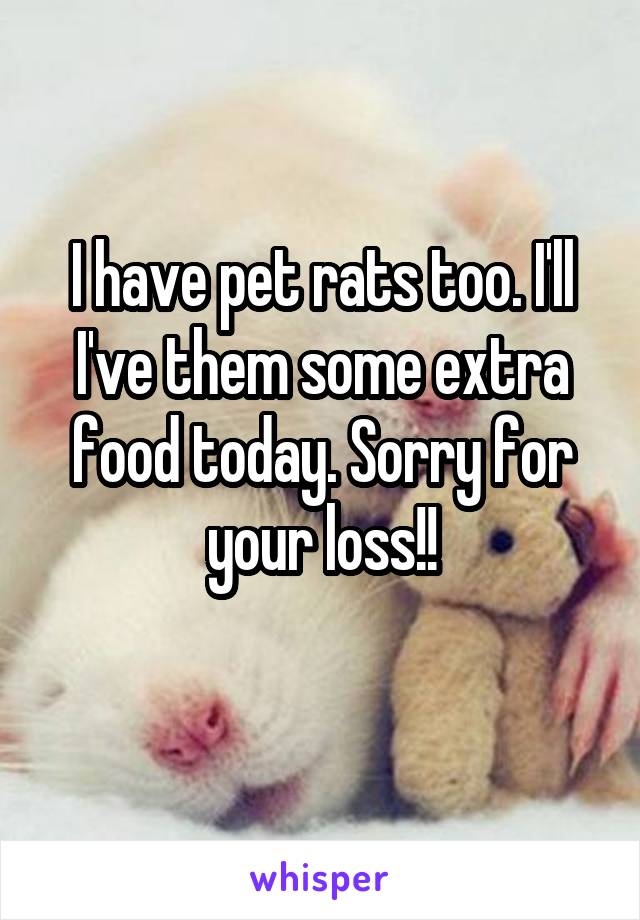 I have pet rats too. I'll I've them some extra food today. Sorry for your loss!!
