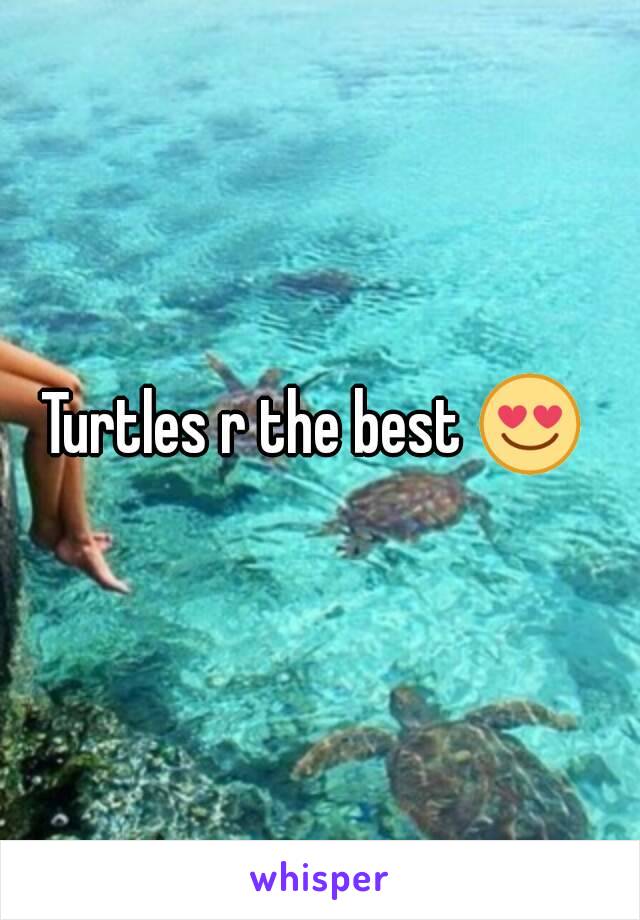 Turtles r the best 😍 