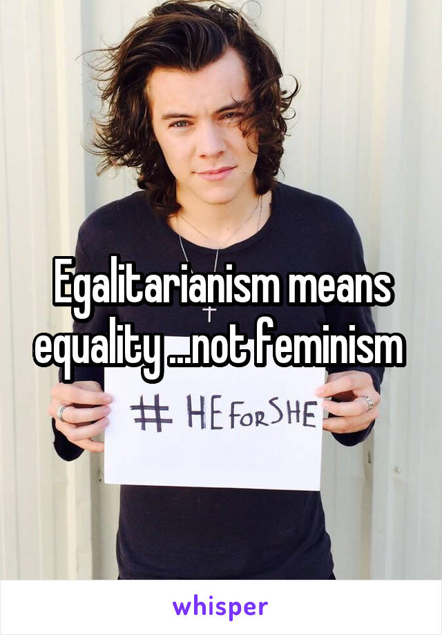 Egalitarianism means equality ...not feminism 