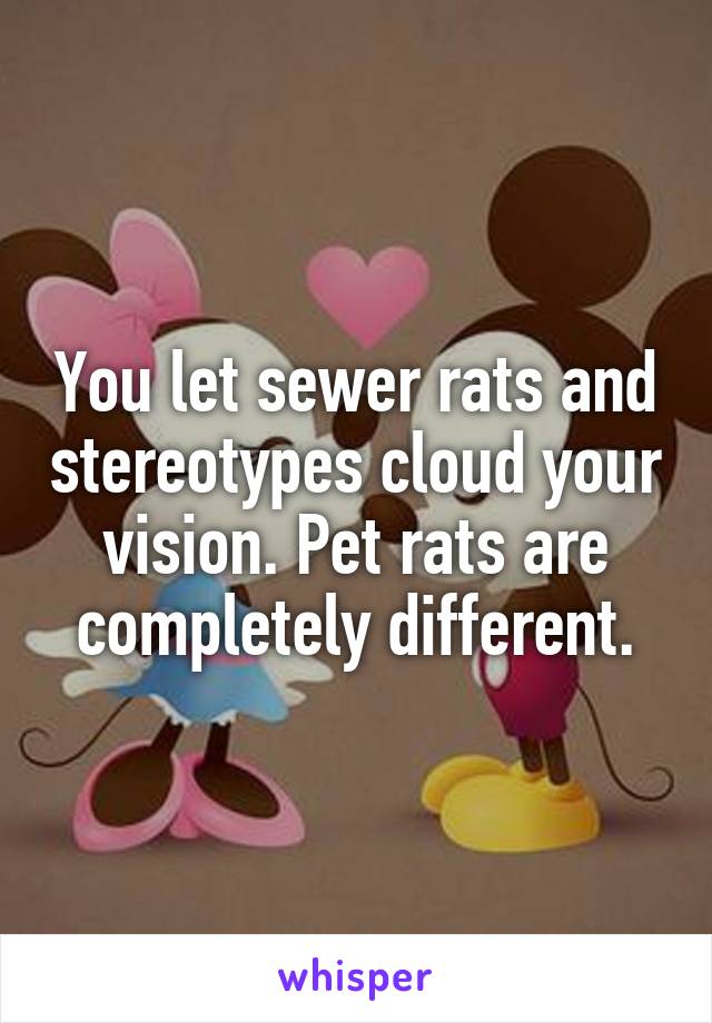 You let sewer rats and stereotypes cloud your vision. Pet rats are completely different.