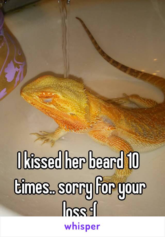 I kissed her beard 10 times.. sorry for your loss :(