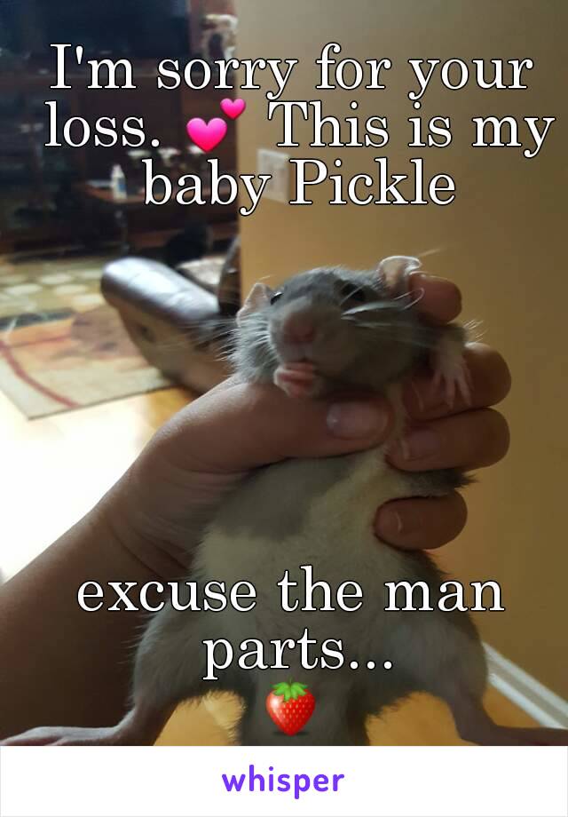 I'm sorry for your loss. 💕 This is my baby Pickle






excuse the man parts...
🍓