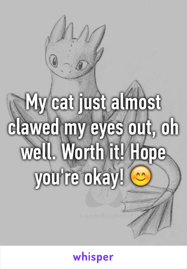 My cat just almost clawed my eyes out, oh well. Worth it! Hope you're okay! 😊