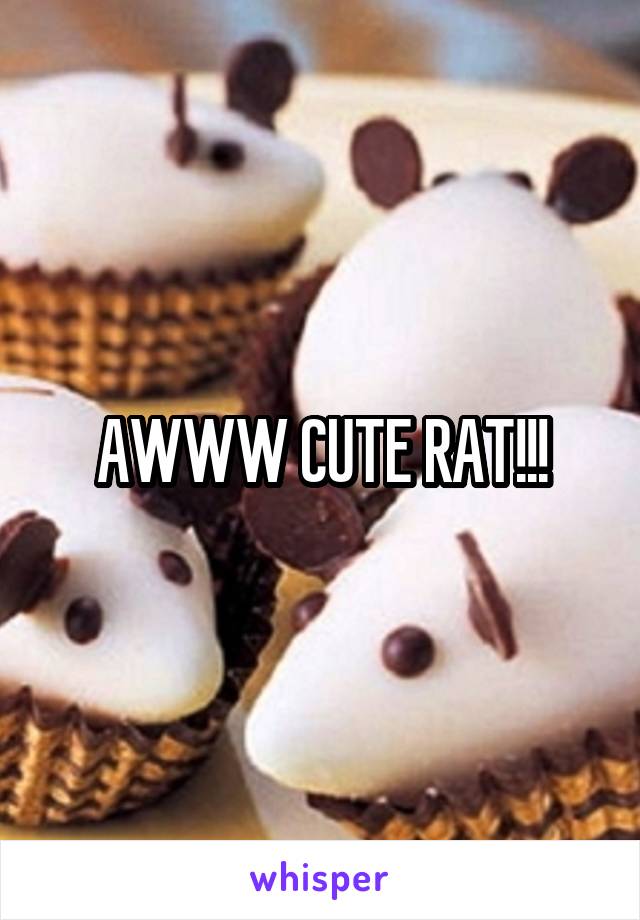 AWWW CUTE RAT!!!