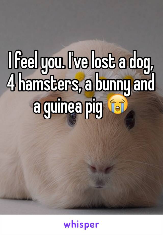 I feel you. I've lost a dog, 4 hamsters, a bunny and a guinea pig 😭