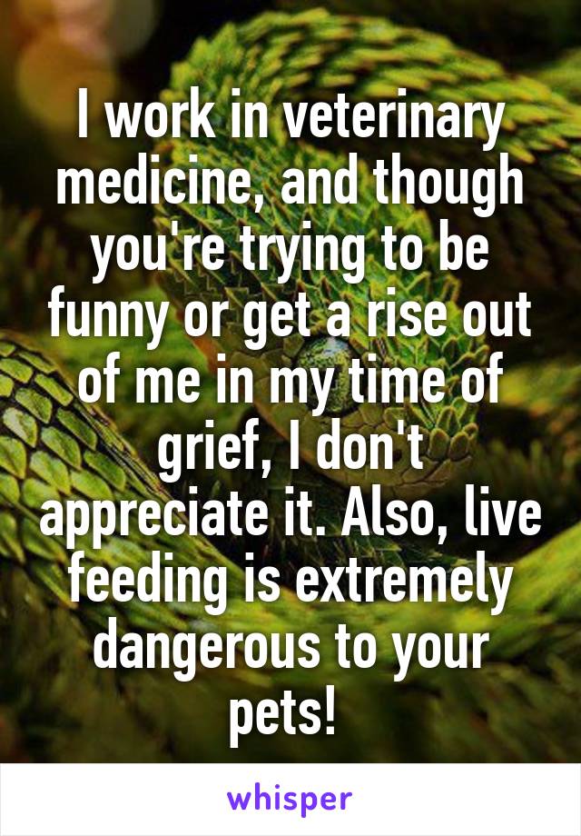 I work in veterinary medicine, and though you're trying to be funny or get a rise out of me in my time of grief, I don't appreciate it. Also, live feeding is extremely dangerous to your pets! 