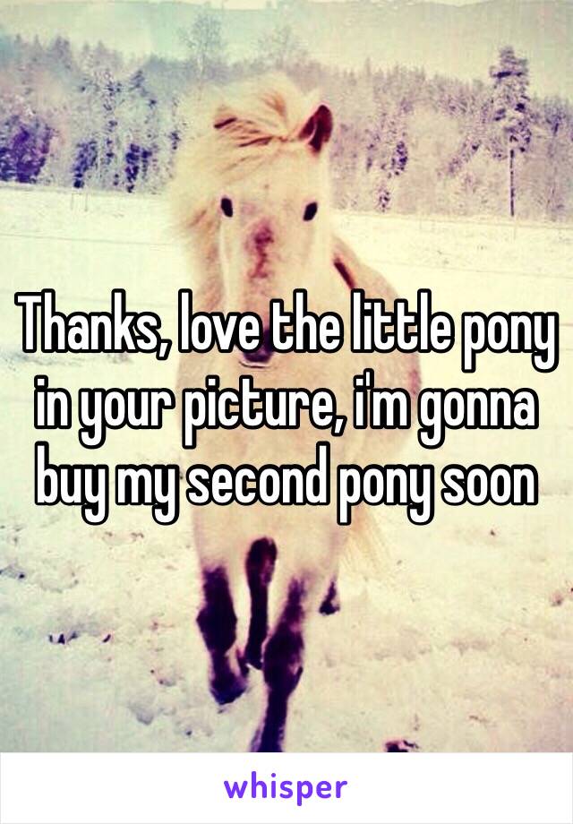 Thanks, love the little pony in your picture, i'm gonna buy my second pony soon 