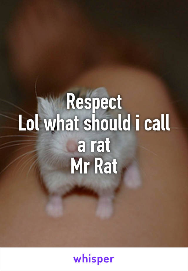 Respect
Lol what should i call a rat
Mr Rat