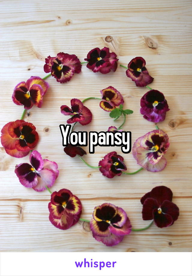 You pansy 