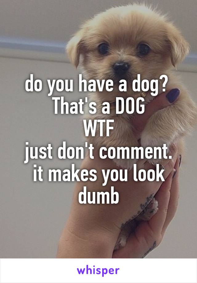 do you have a dog? 
That's a DOG
WTF
just don't comment. it makes you look dumb