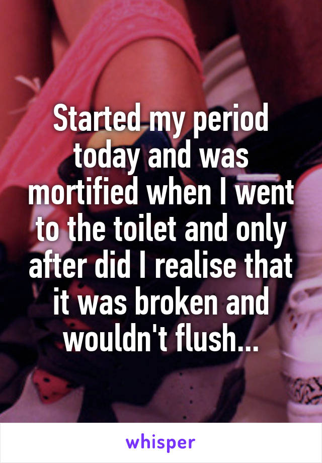 Started my period today and was mortified when I went to the toilet and only after did I realise that it was broken and wouldn't flush...