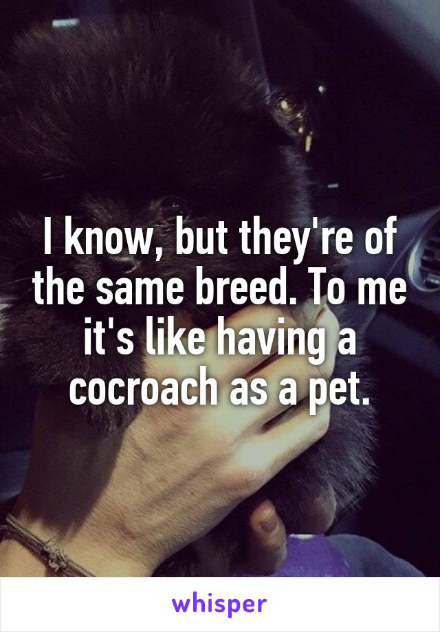 I know, but they're of the same breed. To me it's like having a cocroach as a pet.