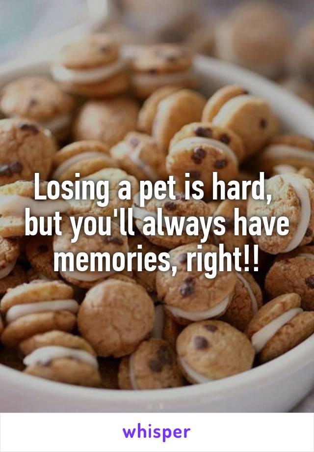 Losing a pet is hard,  but you'll always have memories, right!!