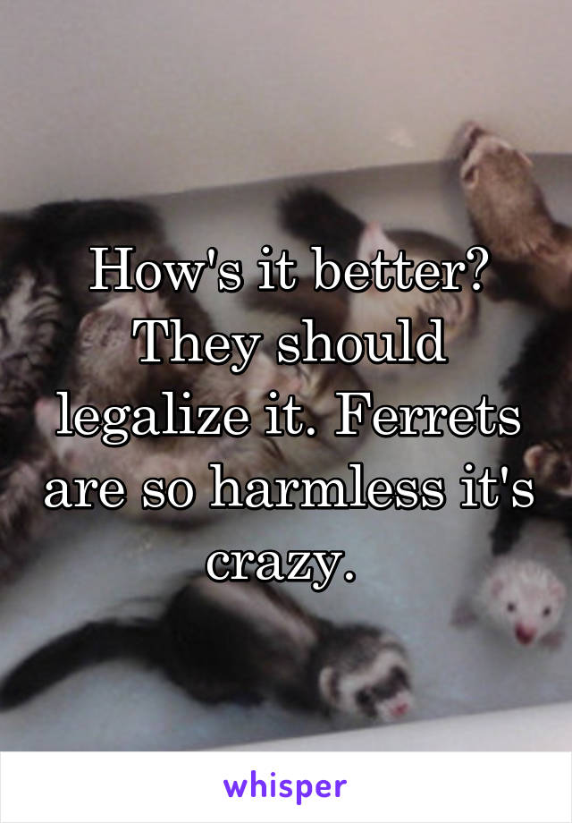 How's it better? They should legalize it. Ferrets are so harmless it's crazy. 