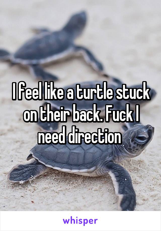 I feel like a turtle stuck on their back. Fuck I need direction 