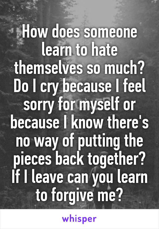 How does someone learn to hate themselves so much? Do I cry because I feel sorry for myself or because I know there's no way of putting the pieces back together? If I leave can you learn to forgive me?