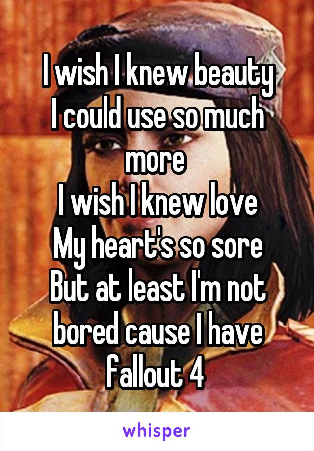 I wish I knew beauty
I could use so much more 
I wish I knew love
My heart's so sore
But at least I'm not bored cause I have fallout 4 