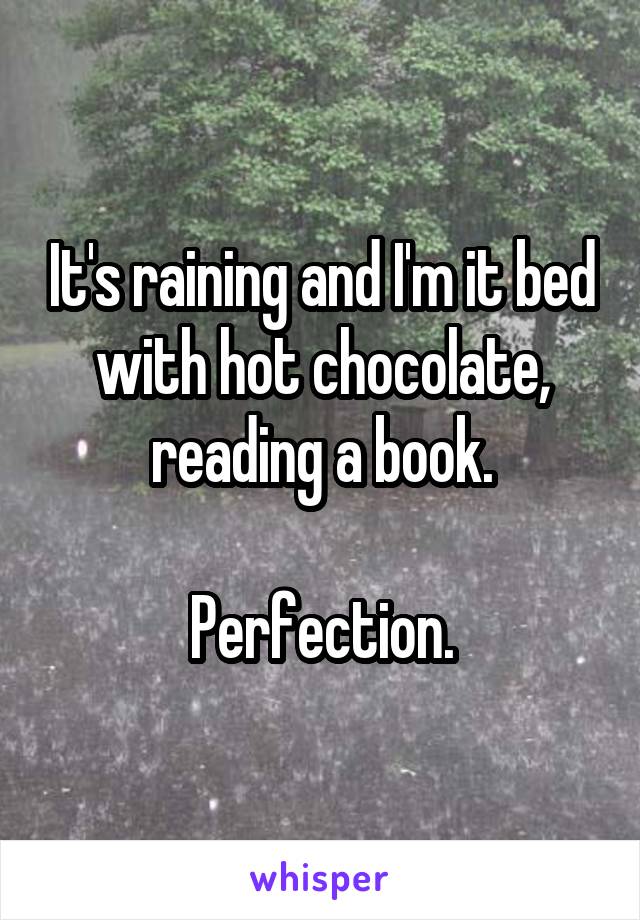 It's raining and I'm it bed with hot chocolate, reading a book.

Perfection.